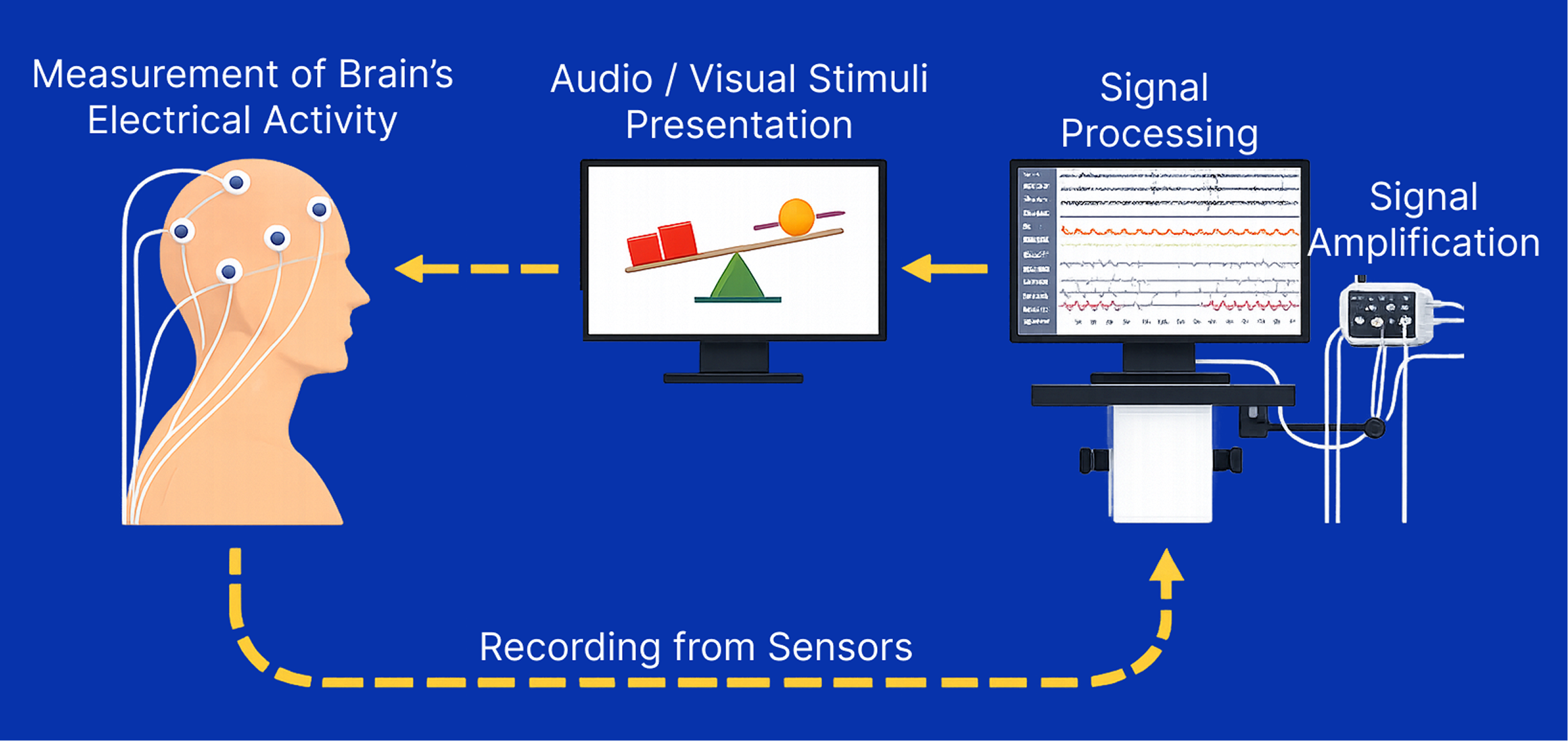 Bio- Neurofeedback